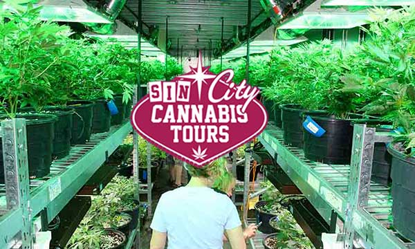         Las Vegas Cannabis Tours      