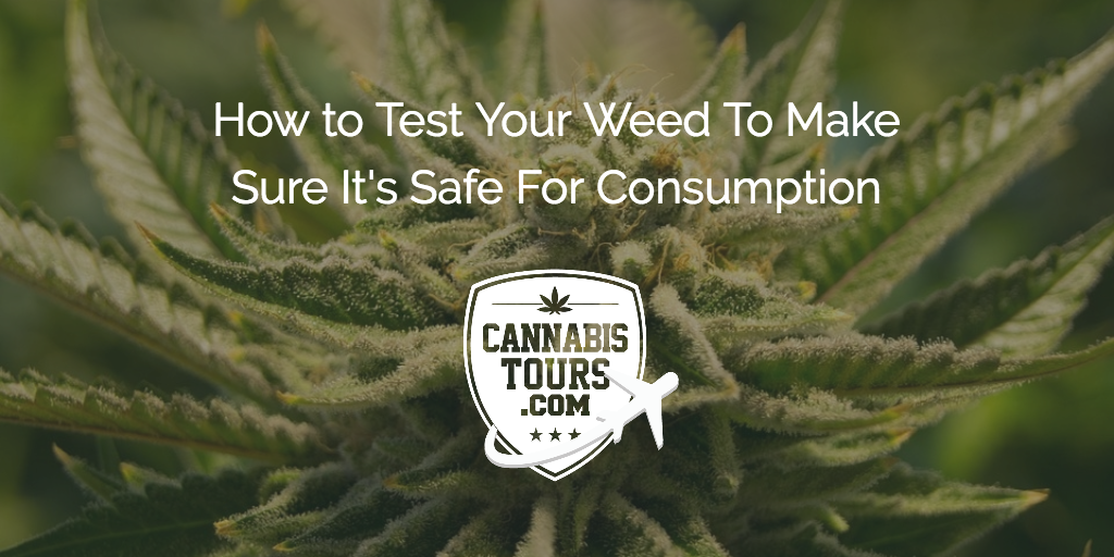 Top 10 Methods to Test Your Weed to Make Sure It’s Safe for Consumption ...