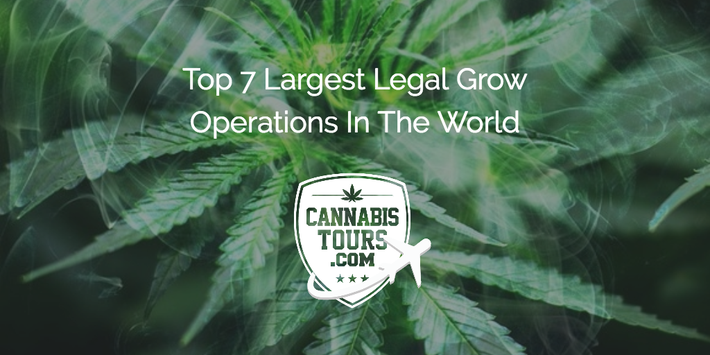 Top 7 Largest Legal Grow Operations In The World - CannabisTours.com ...