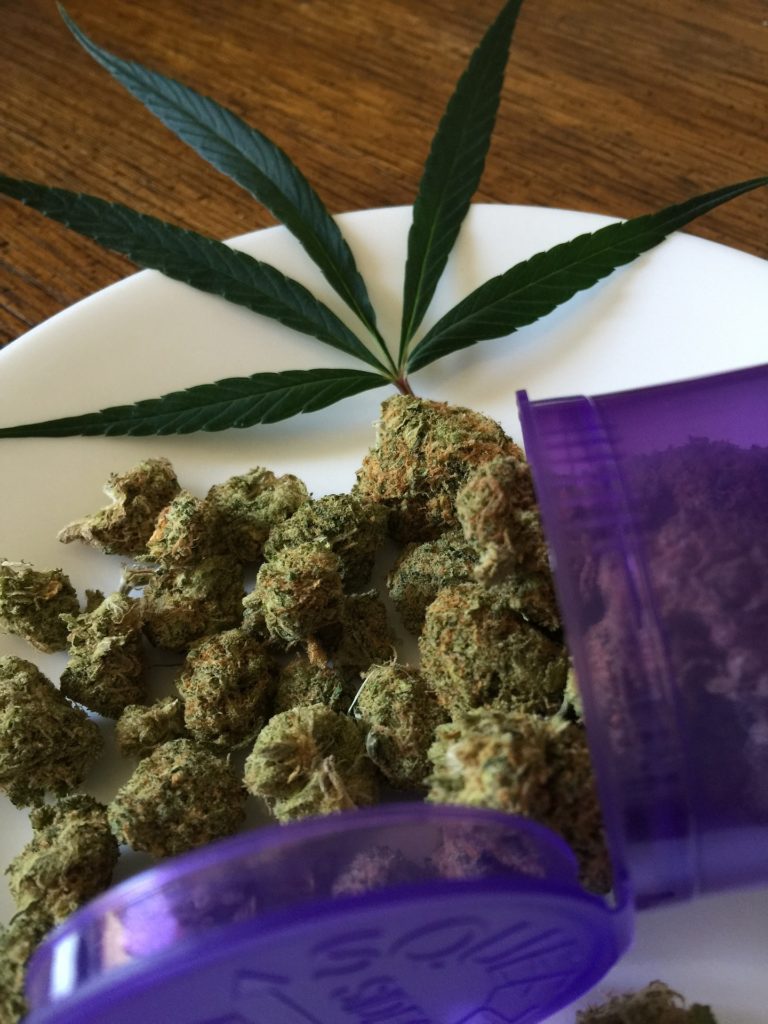 marijuana, hemp, cannabis, sativa