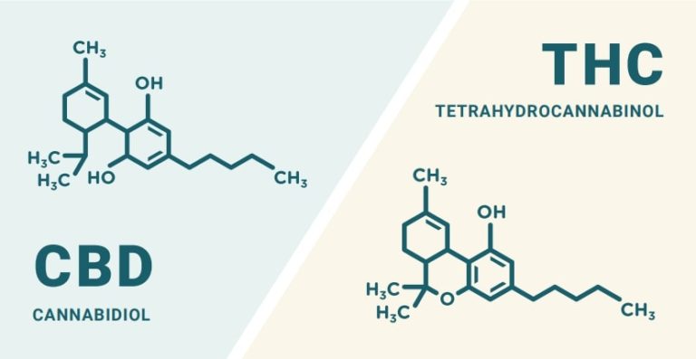 THC Vs CBD: Ultimate Guide - CannabisTours.com - Cannabis Hospitality ...